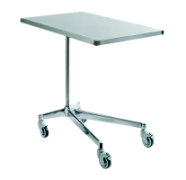 Standard Mayo table