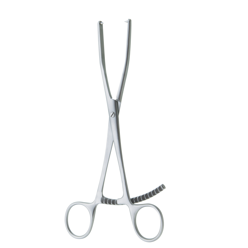 Bone holding forcep, 21cm, straight