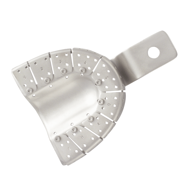 Wintray U3 S (upper jaw)