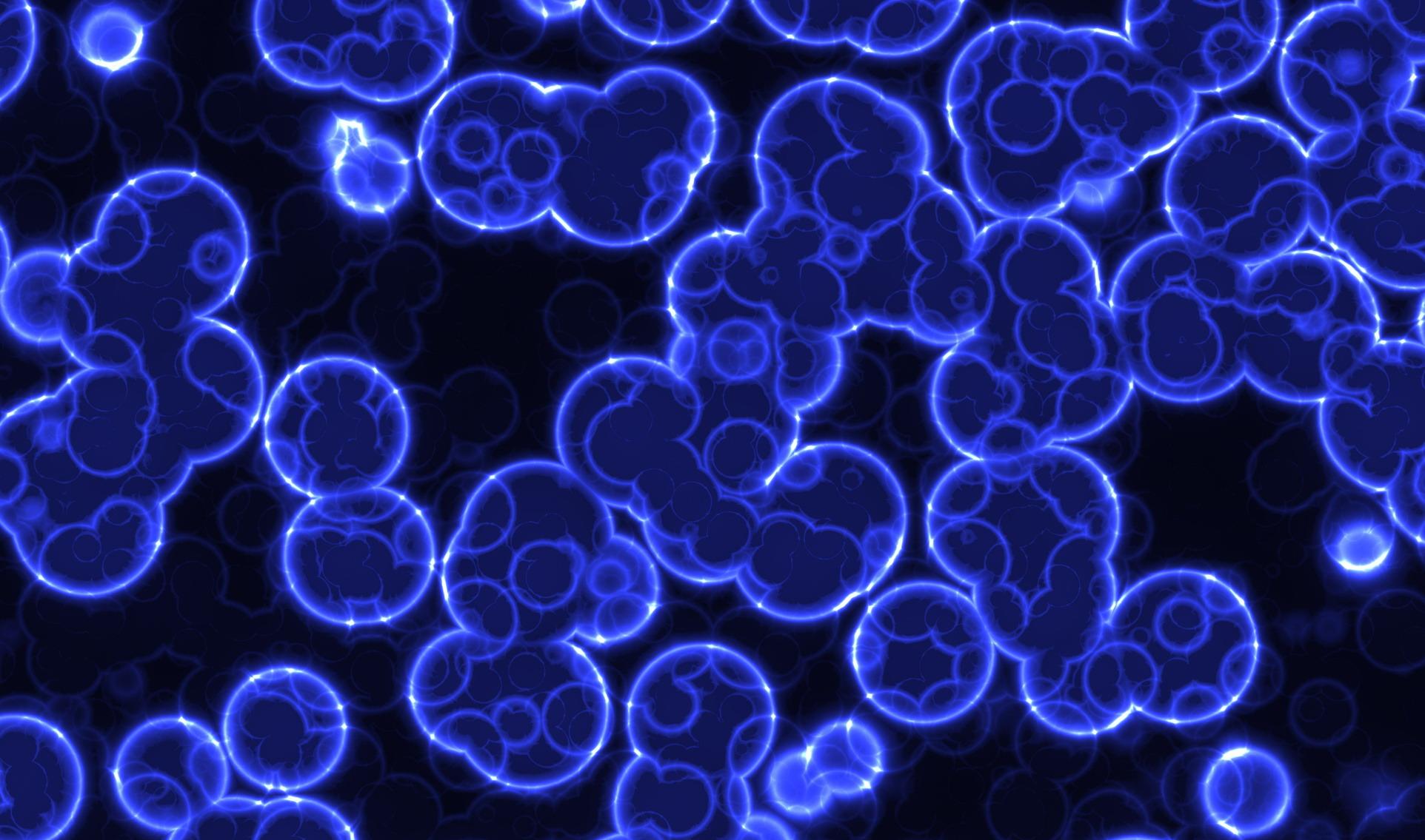 Biological Film